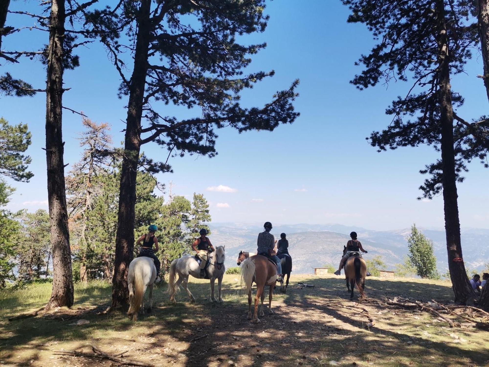 Gite En Provence Lavande Modene ภายนอก รูปภาพ