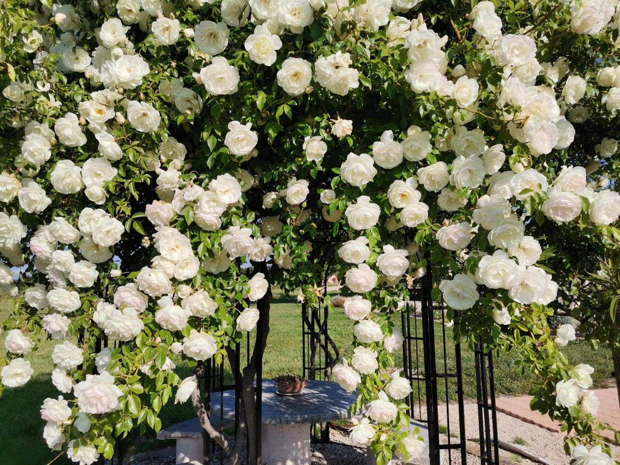 Gite En Provence Lavande Modene ภายนอก รูปภาพ